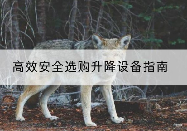 逊克升降货梯厂家推荐-*安全选购升降设备指南