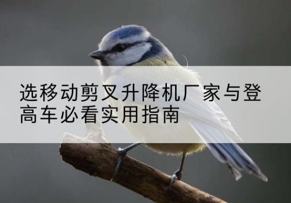 逊克电动升降机厂家-选移动剪叉升降机厂家与登高车必看实用指南