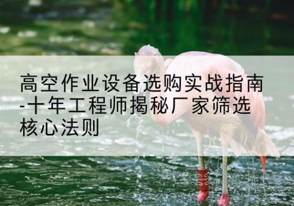逊克剪叉式升降机厂家-高空作业设备选购实战指南-十年工程师揭秘厂家筛选核心法则